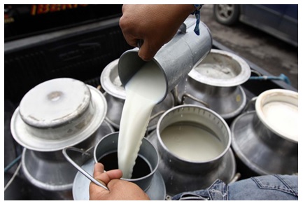 Cochabamba sufre grandes pérdidas en el sector lácteo