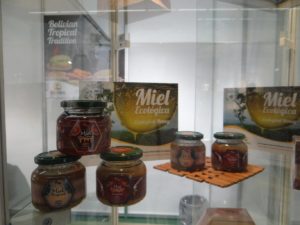 Del bosque a la mesa: miel ecológica boliviana apunta al mercado europeo